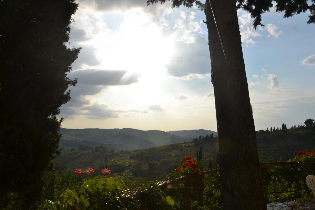 גרבה אין קיאנטי B&B Panoramic מראה חיצוני תמונה